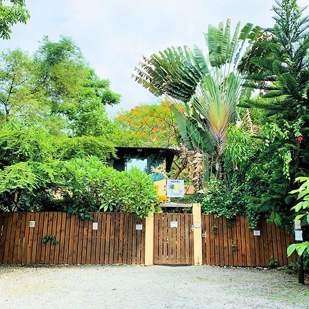 Hotel Tropical Sands Dominical Extérieur photo